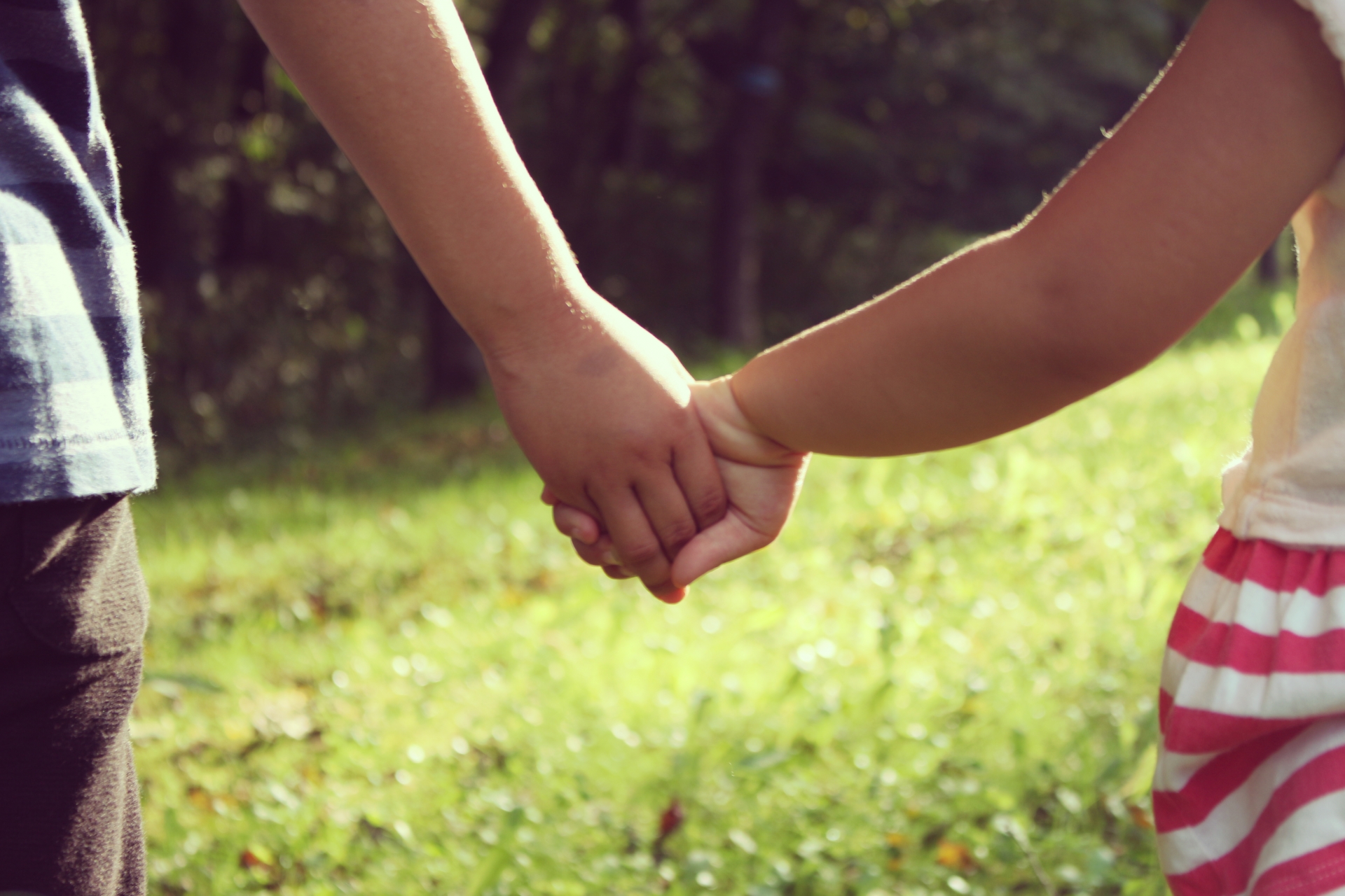 WISC-Ⅳ(ウィスクフォー)の結果