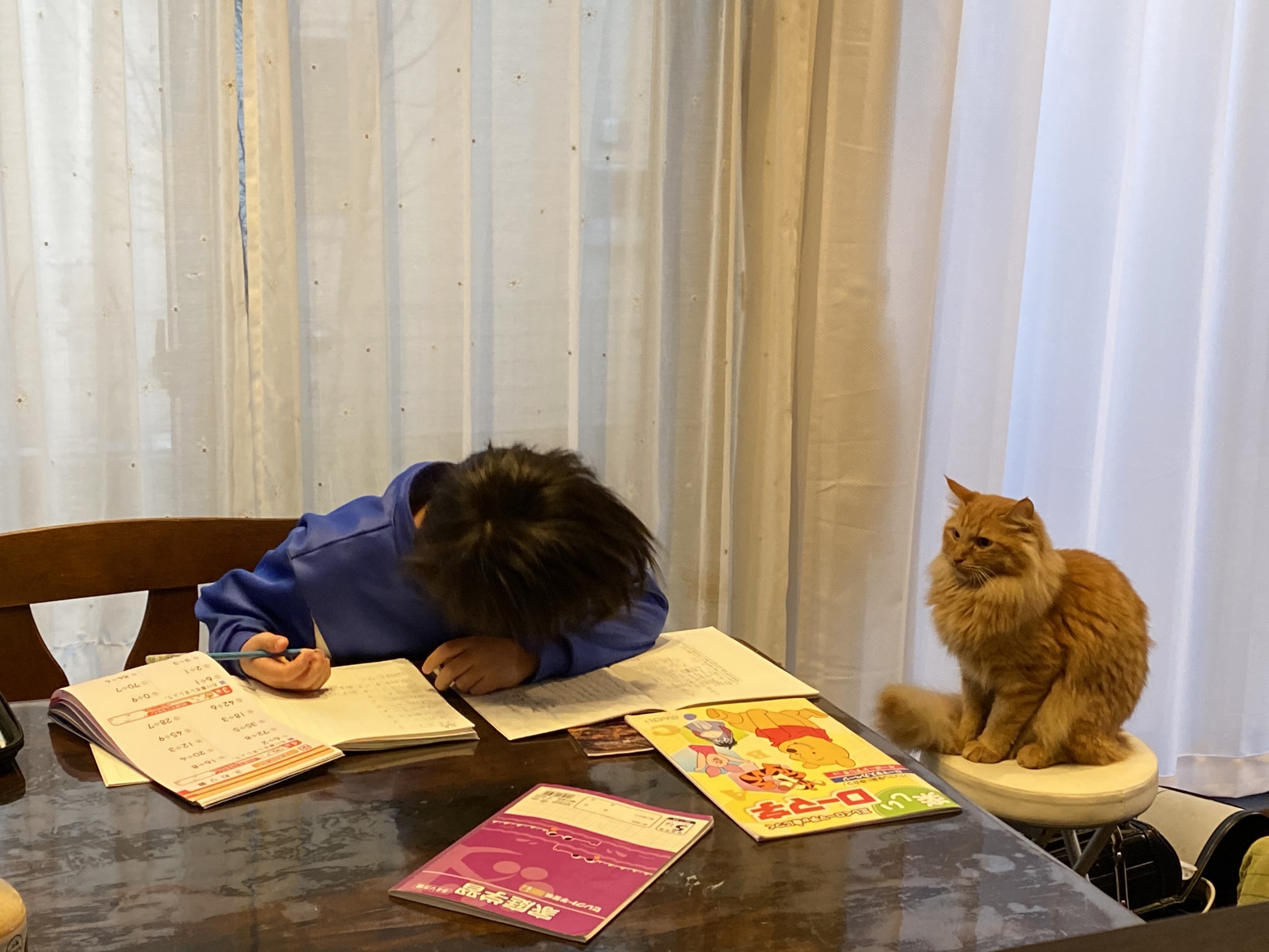 マイペースが過ぎる僕