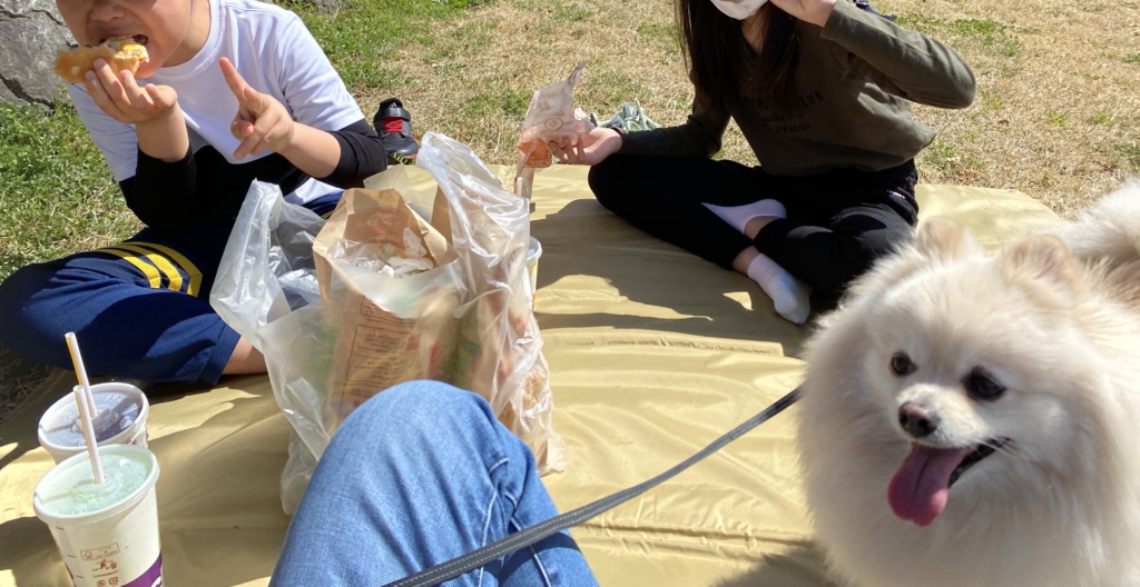 薬を変更