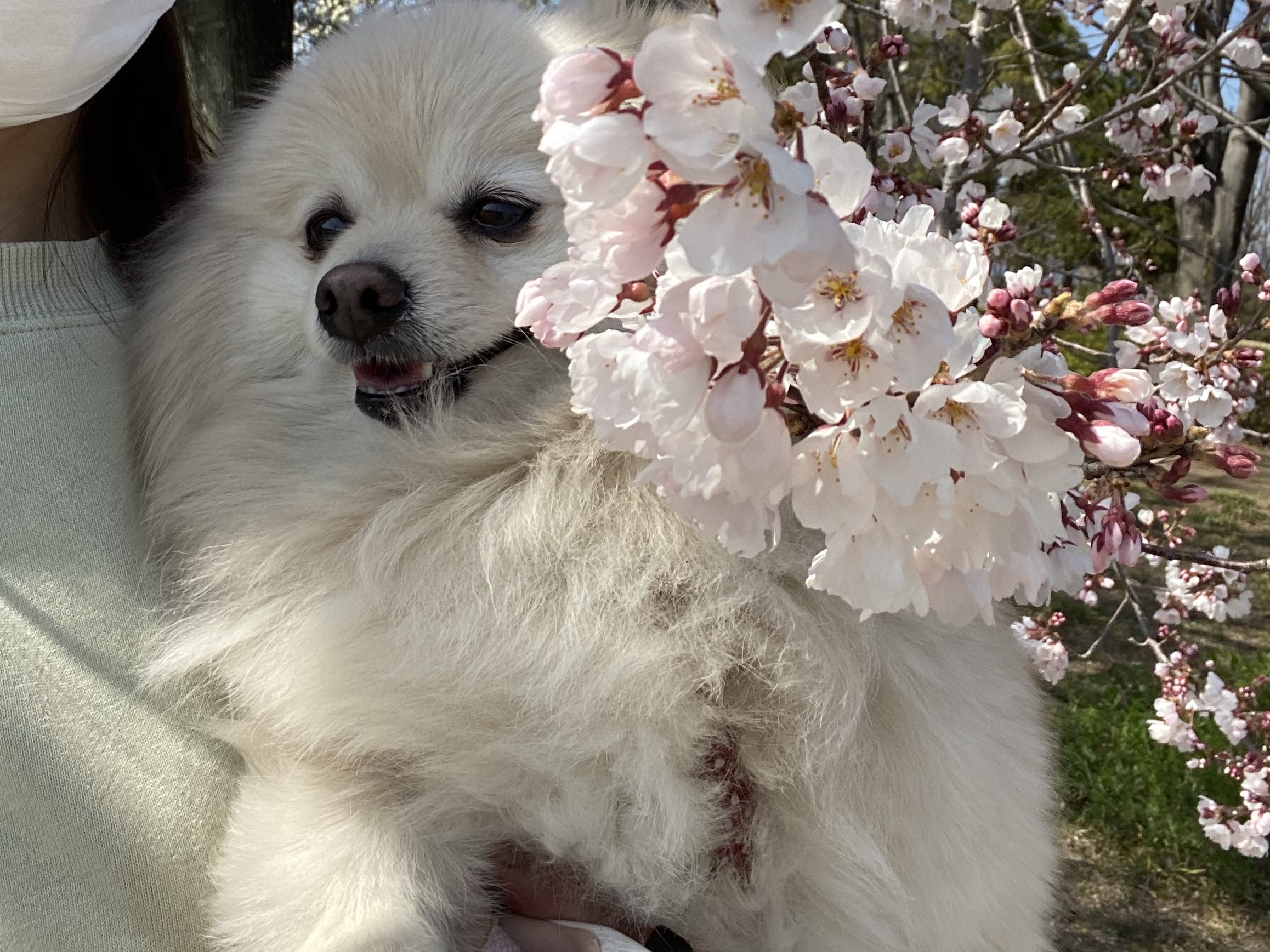 気になって仕方ないんです!!
