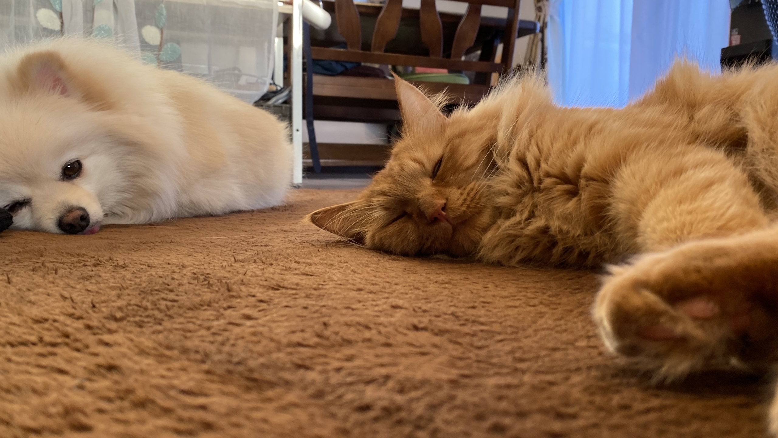 休校中の宿題事情