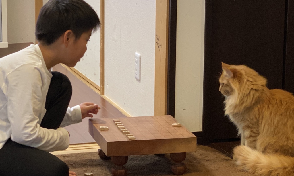 お家に居よう