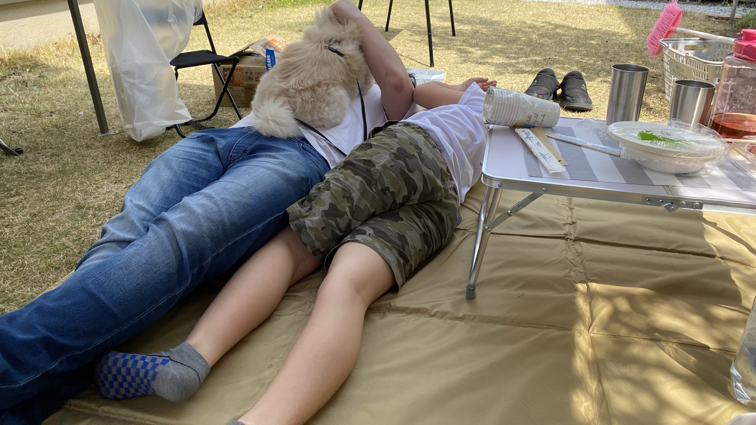 日曜日、光合成をしました!