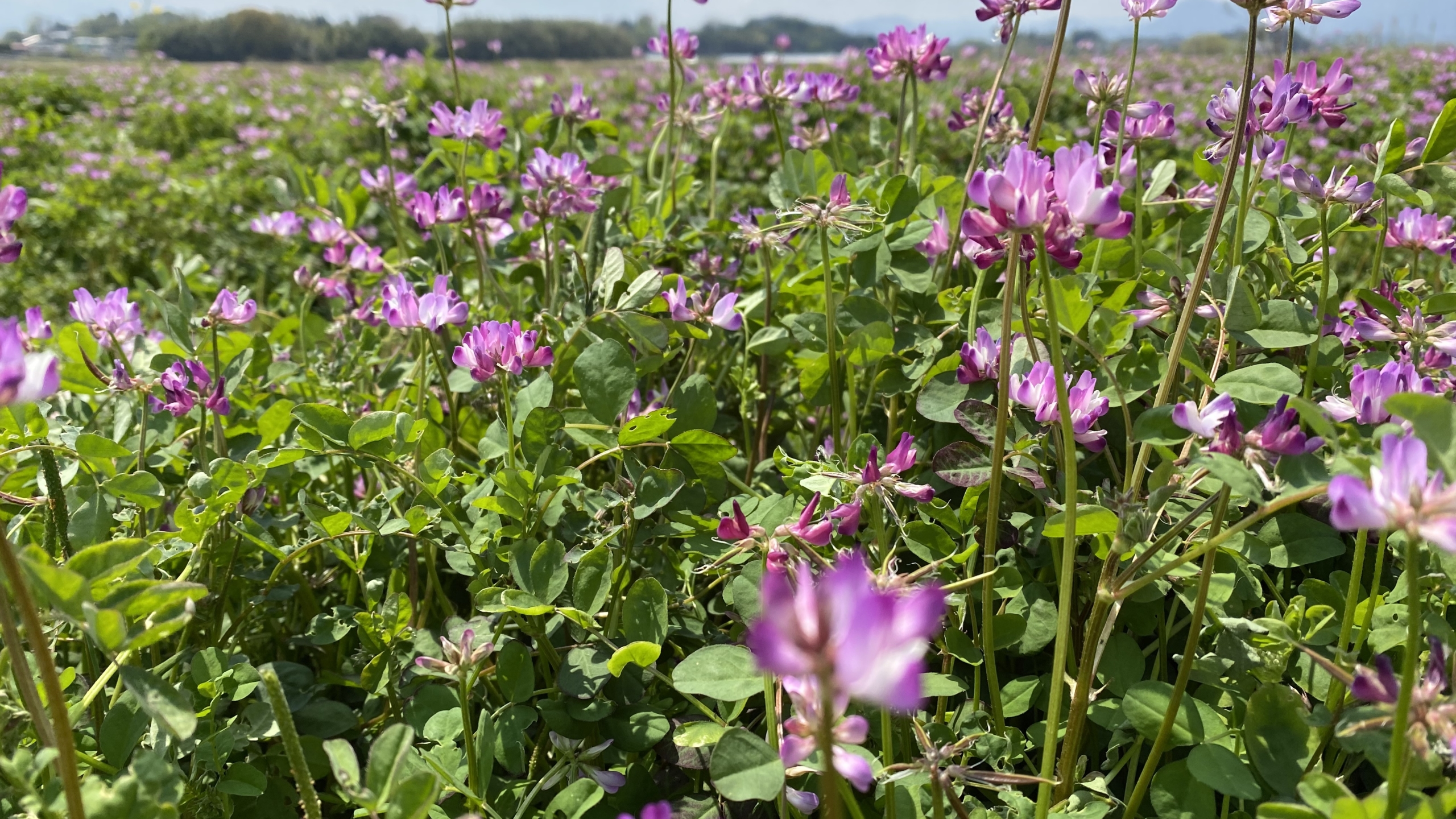 我が家のGW2日目！！ステイホーム！！