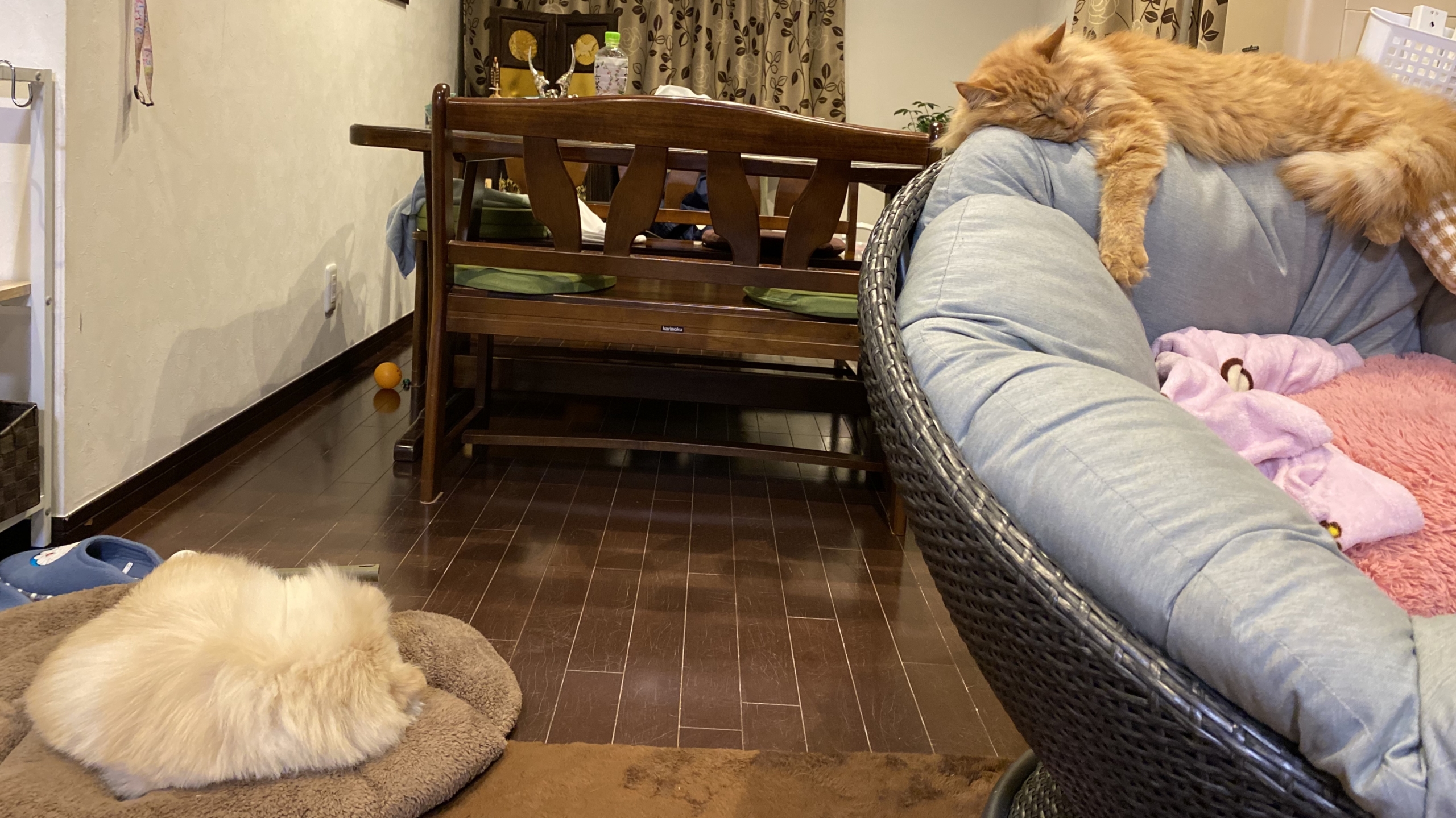 我が家のGW!!!1日目